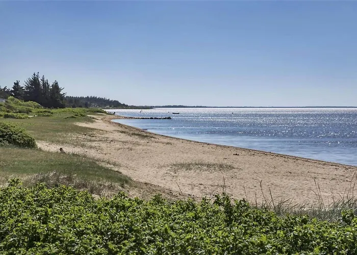 בית נופש C11326-tarm-sortbaervej-20 Tarm